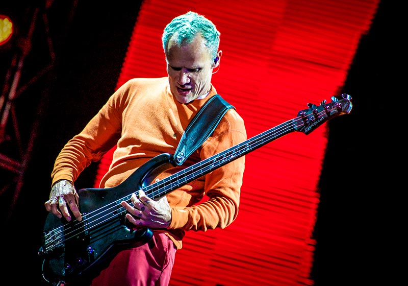 Bass Guitarist Flea Playing one of the Best Red Hot Chili Peppers Songs