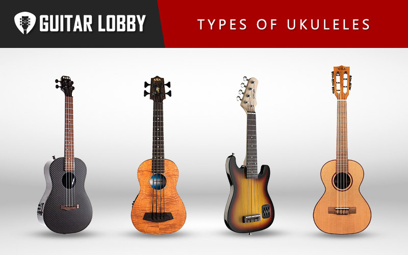 15 Different Types of Ukuleles Explained (2024) - Guitar Lobby