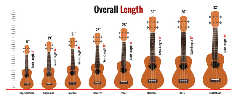 The 8 Sizes (with Chart) 2023 - Guitar Lobby
