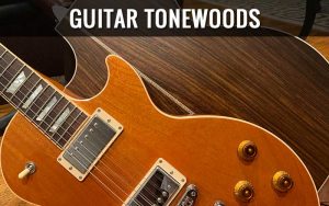 Guitar Tonewoods Guide (Acoustic & Electric) 2023 - Guitar Lobby