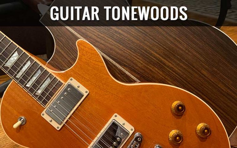 Guitar Tonewoods Guide Acoustic And Electric 2023 Guitar Lobby