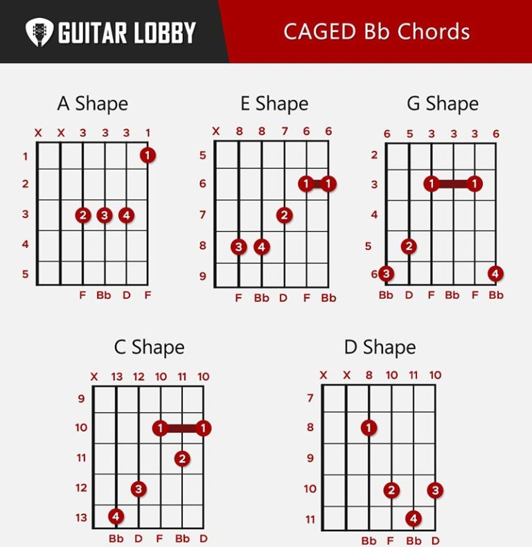 Bb Guitar Chord Guide: 8 Variations & How To Play (2023) - Guitar Lobby