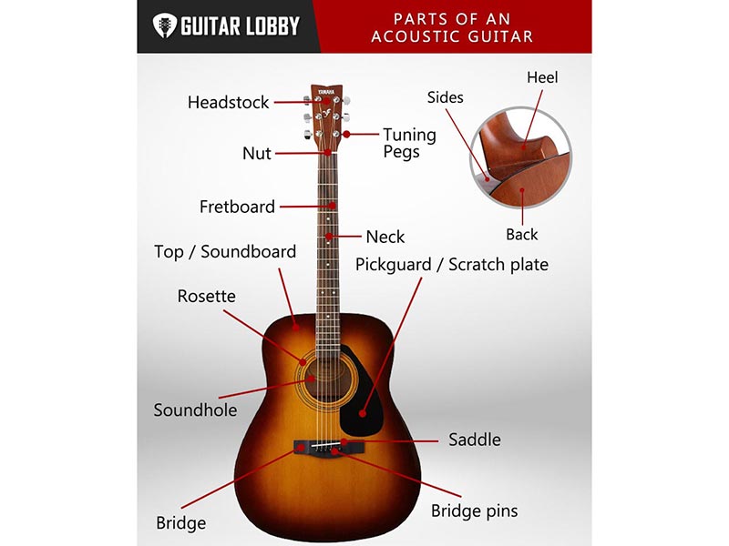 Parts of an Acoustic Guitar (with Diagram & Video) 2023 Guitar Lobby